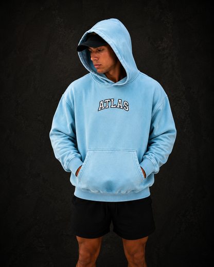 UNIVERSITY STYLE HOODIE