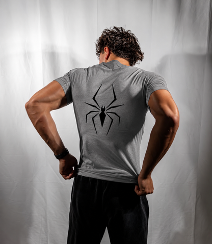 SPIDER COMP 2.0