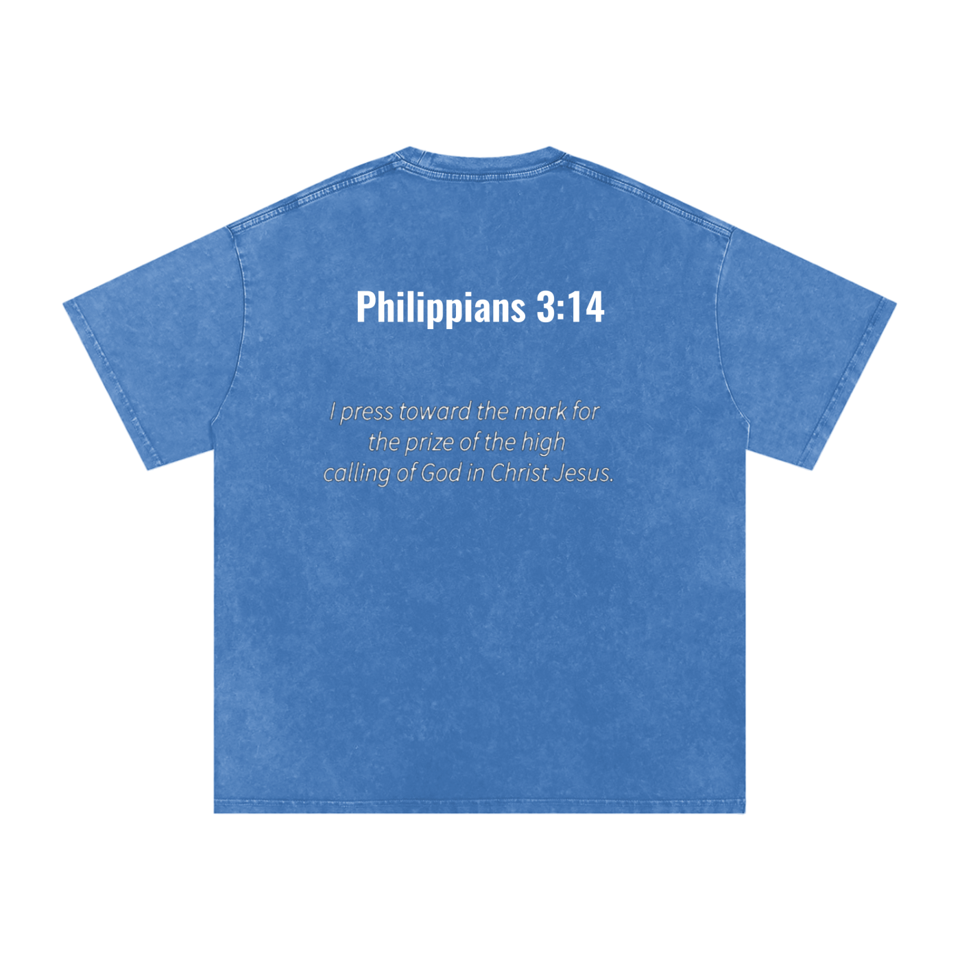Philippians 3:14 oversized tee