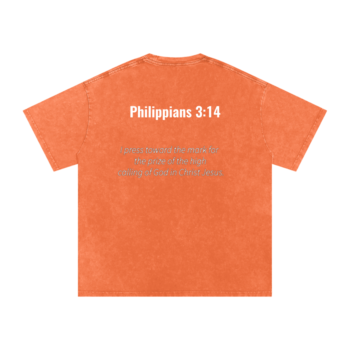 Philippians 3:14 oversized tee