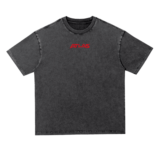 Spider Snow Washed Oversized Tee